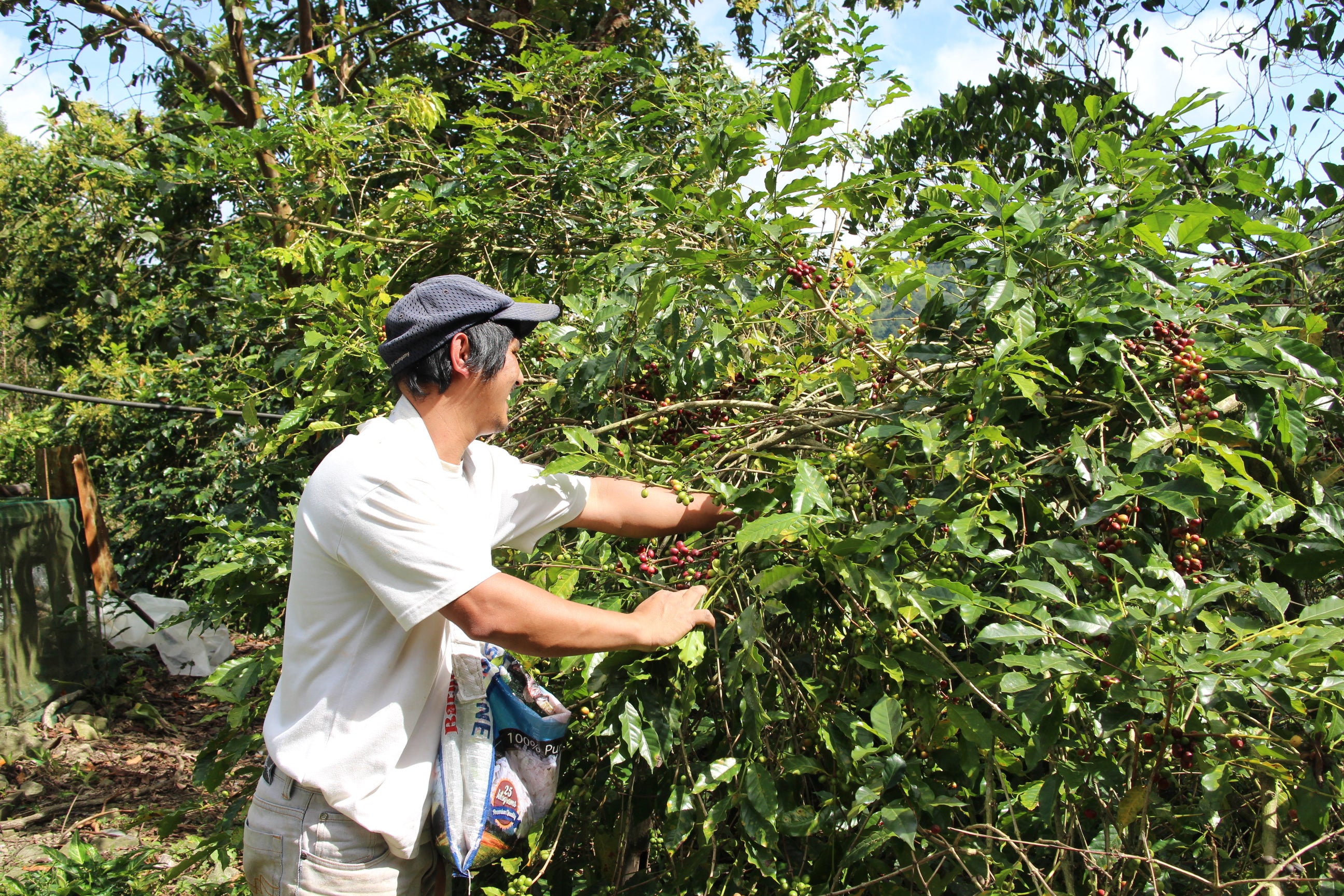 SITIO BELIS ATOK BENGUET PHILIPPINES