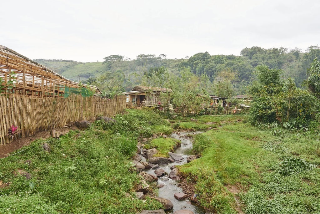 SITIO SAN ROQUE PIGTAURANAN BUKIDNON PHILIPPINES